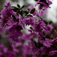 � ��������� ���� ������� ������� ������ ��������� ����������