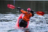 IMG_7784.jpg