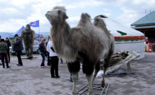 IMG_6547.jpg IMG_6547.jpg