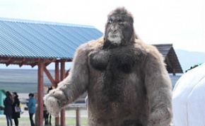 �� �������� ���������. ����������� ��� ������� �������