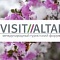 Открыта регистрация на деловые мероприятия девятого туристского форума VISIT ALTAI