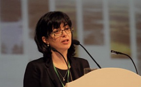 � ��������� ���� ������� ������� ���� ���������� ����������� ���